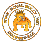 Royal Bully Agency