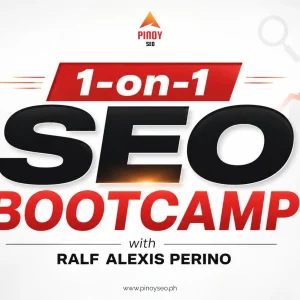 1 on 1 SEO Training -  Ralf Alexis Perino