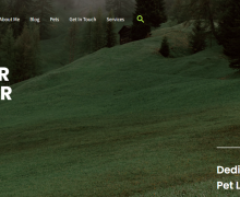 Junmar Auditor - Cebu City