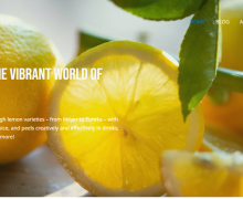 Klyde Luis T. Morales - Imus City, Cavite